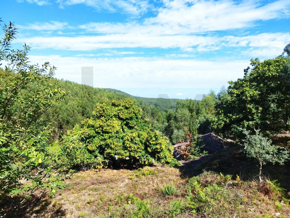 Quinta T4 para Venda em Monchique Foto 17