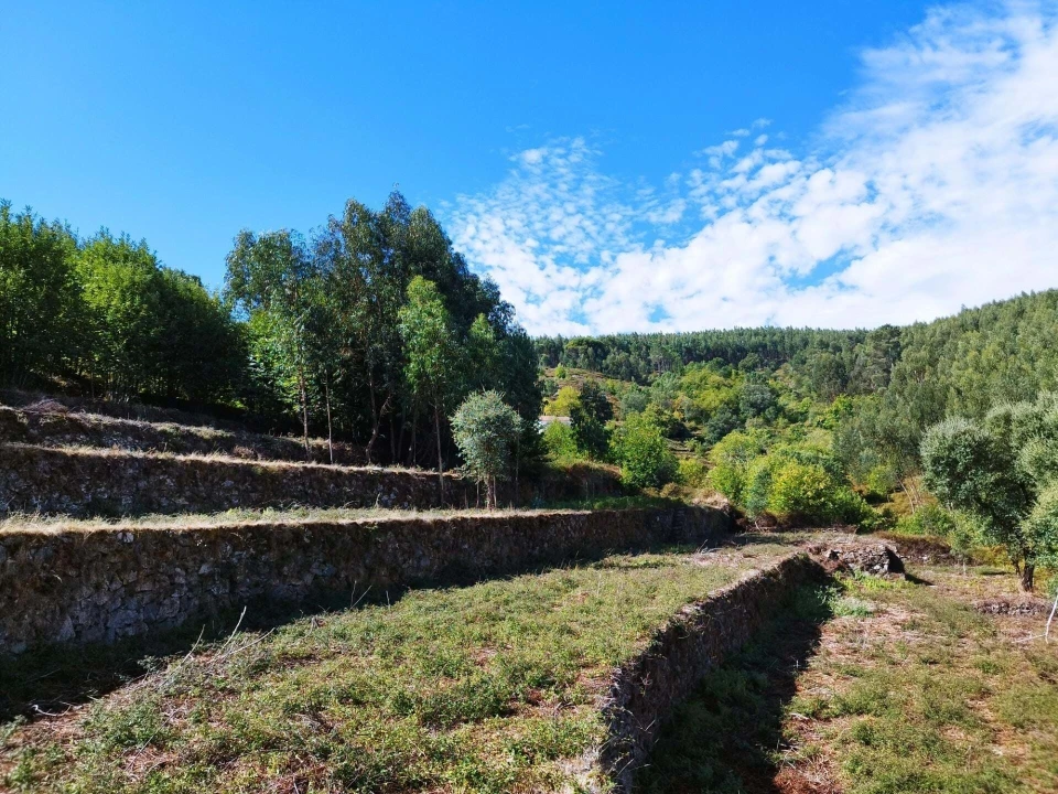 Quinta T4 para Venda em Monchique Foto 13