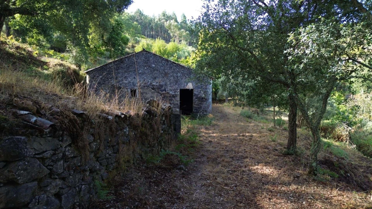 Quinta T4 para Venda em Monchique Foto 4