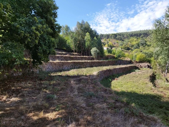 Quinta T4 para Venda em Monchique Foto 14