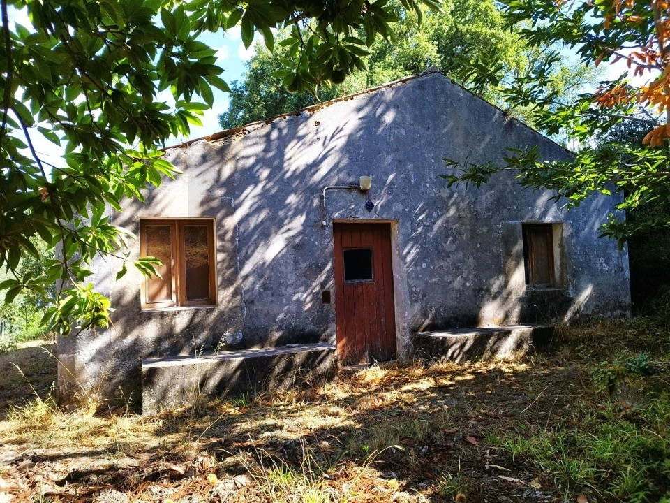 Quinta T4 para Venda em Monchique Foto 6