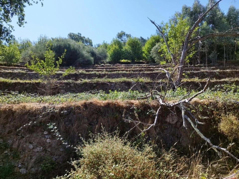 Quinta T4 para Venda em Monchique Foto 9