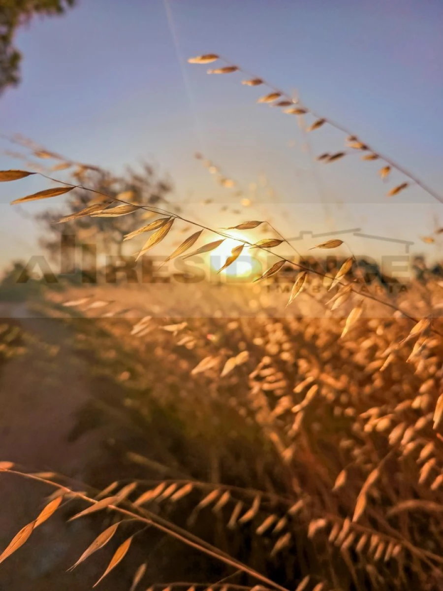 Moradia T3 para Venda em Armação de Pera Foto 3