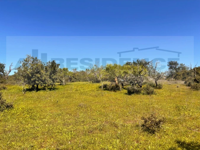 Moradia T3 para Venda em Armação de Pera Foto 45
