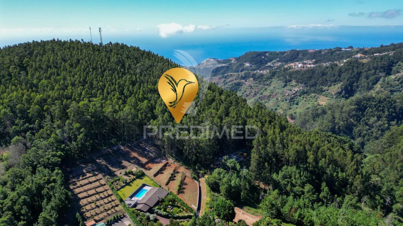 Terreno para Venda em Gaula Foto 2