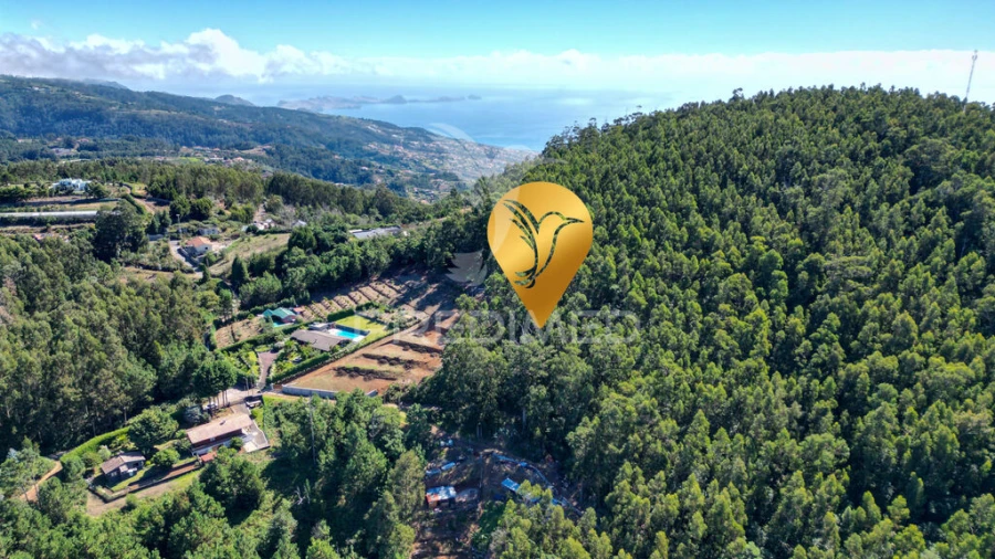 Terreno para Venda em Gaula Foto 8