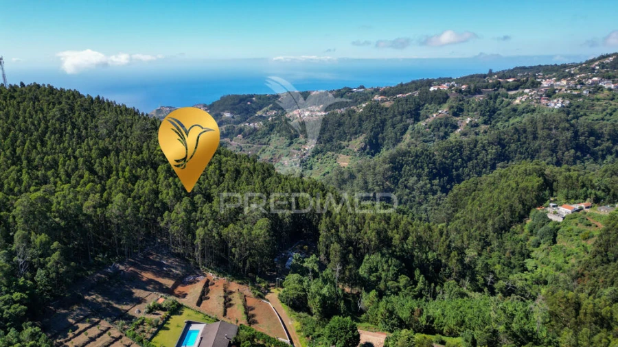 Terreno para Venda em Gaula Foto 3