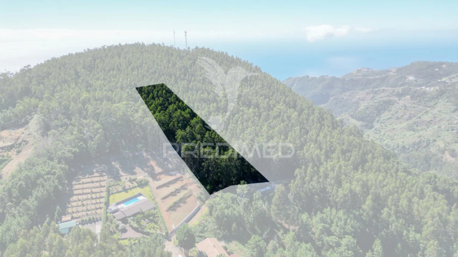 Terreno para Venda em Gaula Foto 12