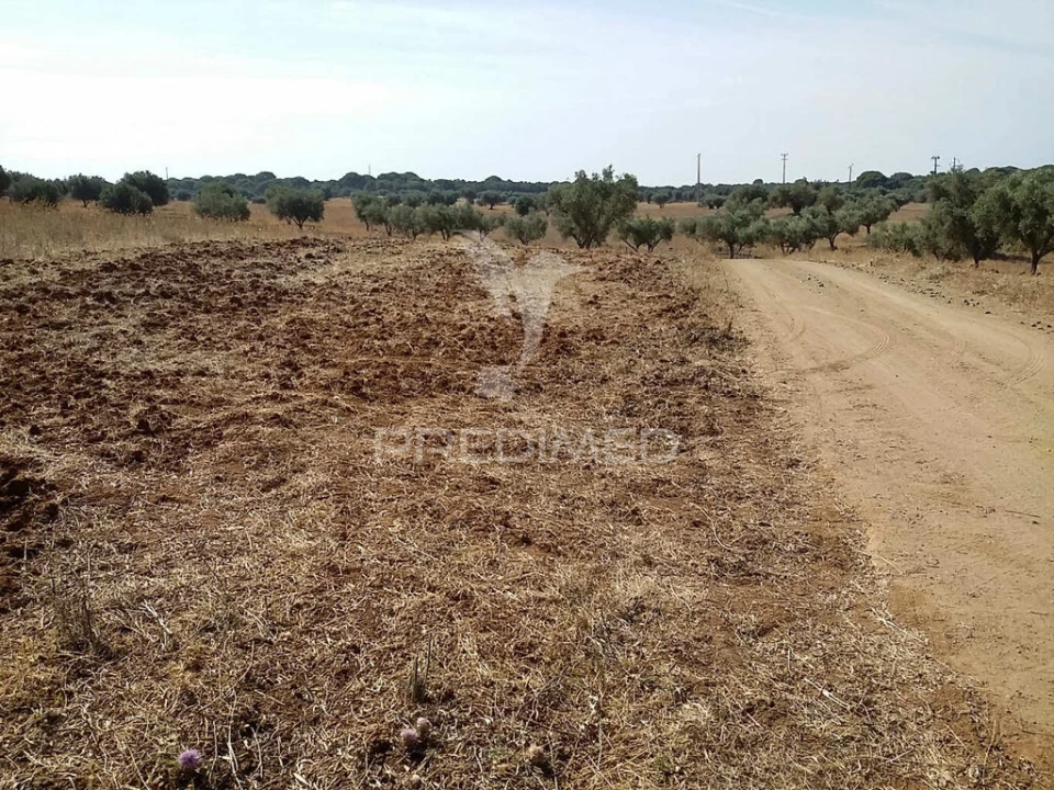 Terreno para Venda em Torrão Foto 6
