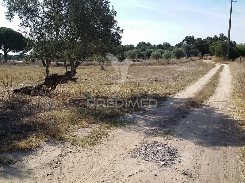 Terreno para Venda em Torrão Foto 4