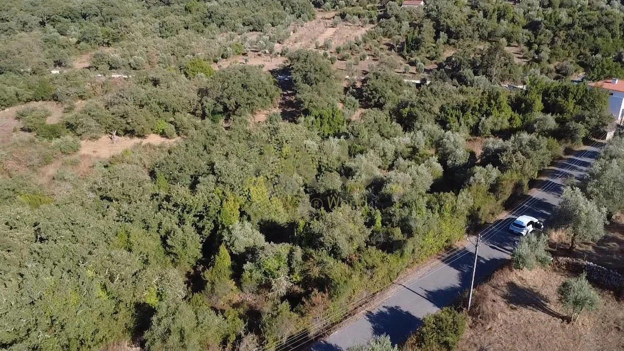 Terreno para Venda em Ansião Foto 4