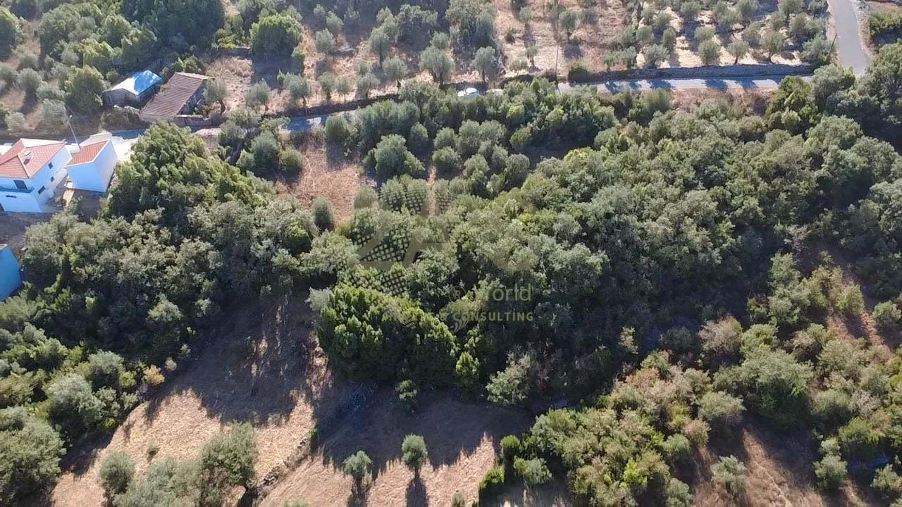 Terreno para Venda em Ansião Foto 2