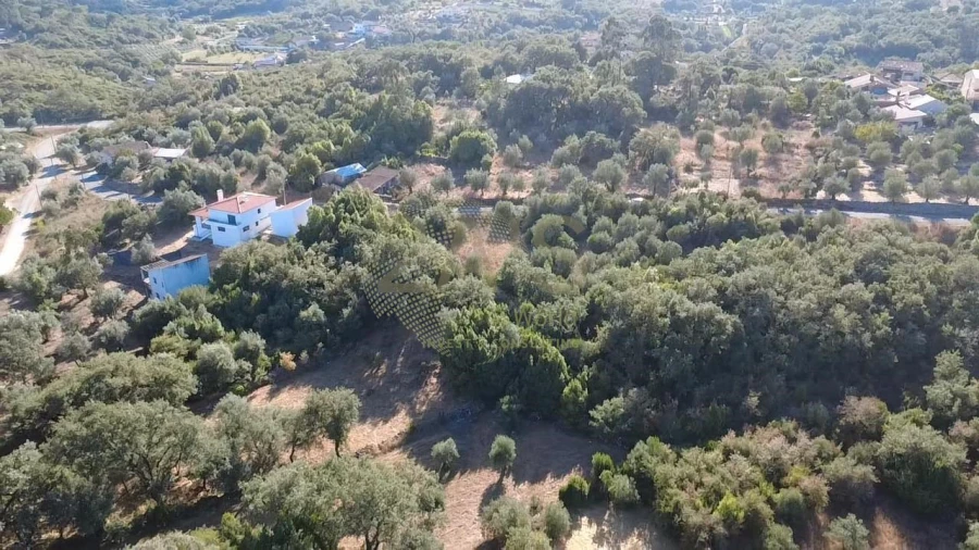 Terreno para Venda em Ansião Foto 6