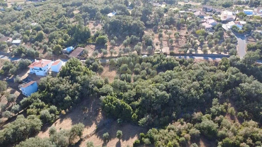 Terreno para Venda em Ansião Foto 5
