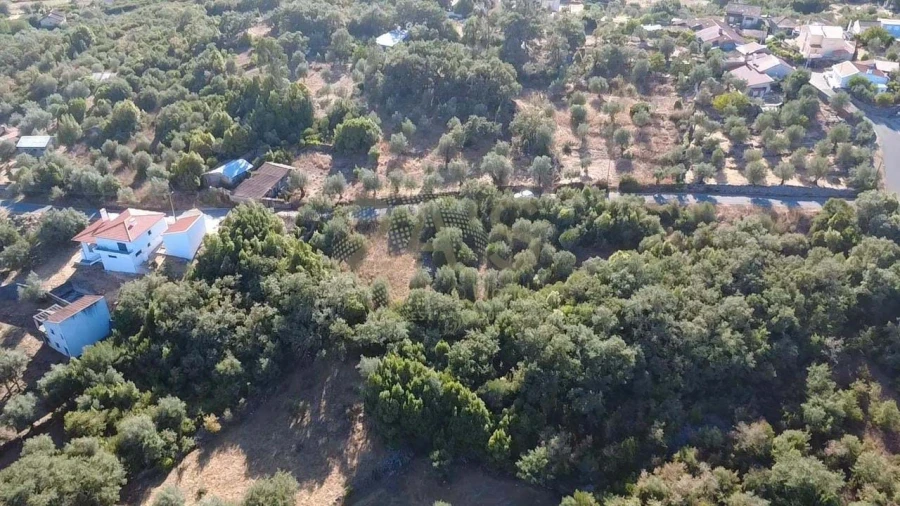 Terreno para Venda em Ansião Foto 7