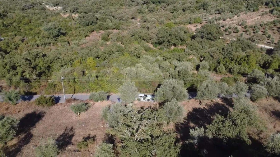 Terreno para Venda em Ansião Foto 8