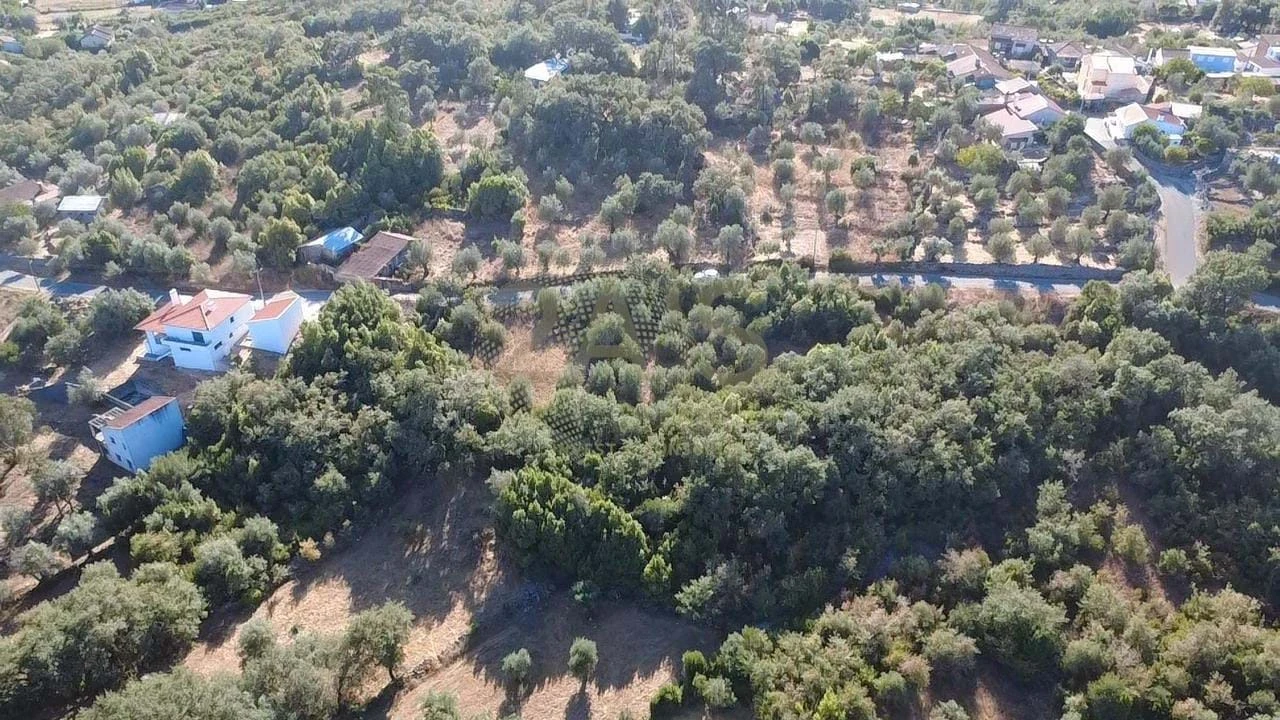 Terreno para Venda em Ansião Foto 5