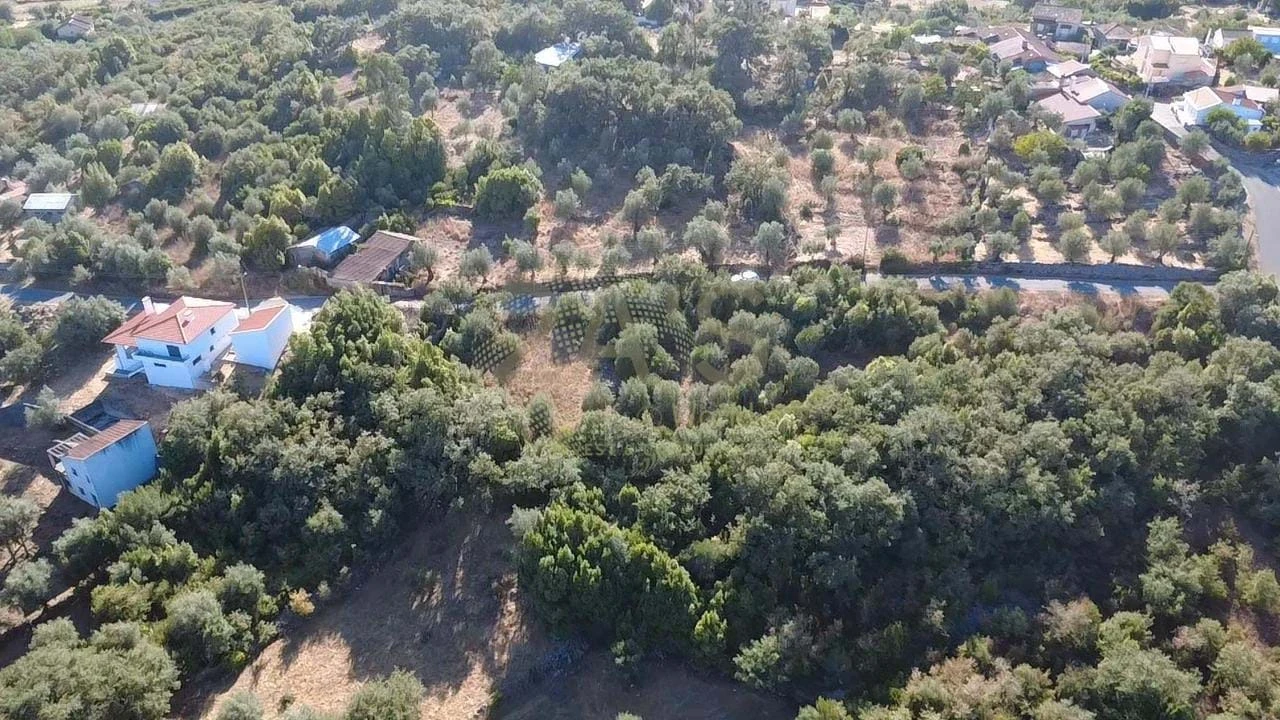 Terreno para Venda em Ansião Foto 7