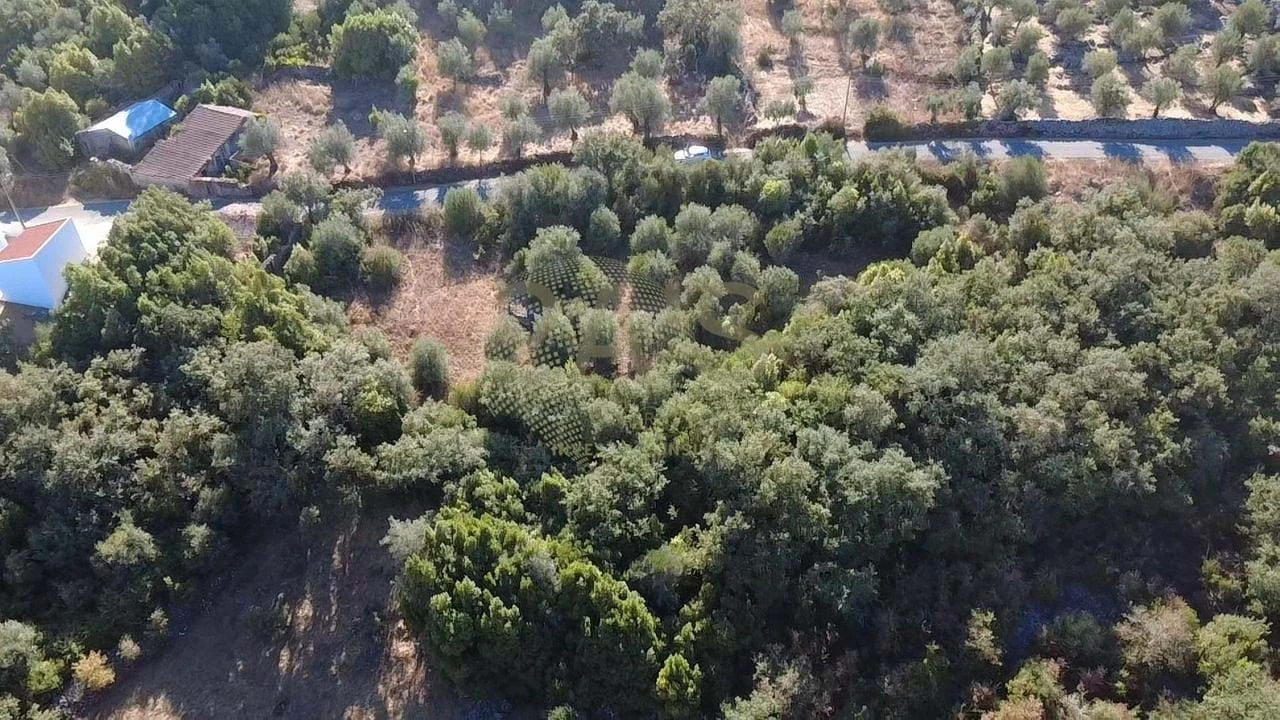 Terreno para Venda em Ansião Foto 3