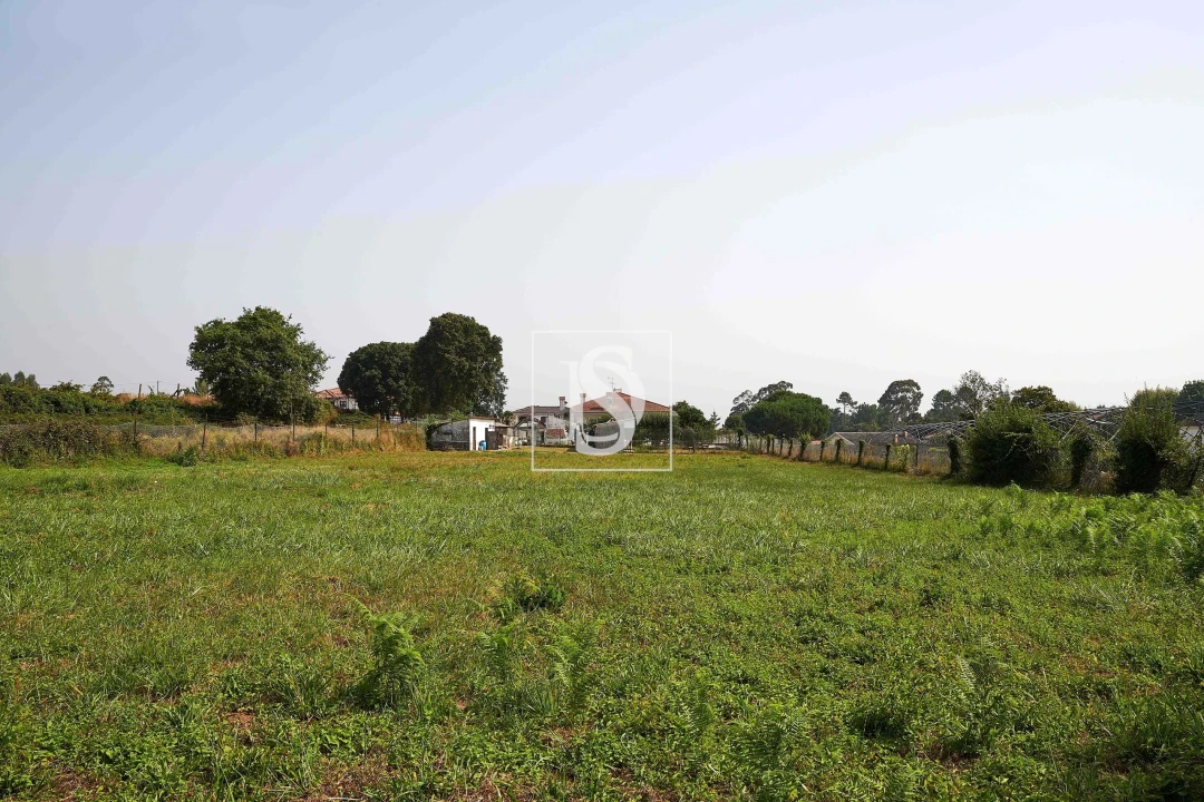 Moradia T3 para Venda em Fiães Foto 42