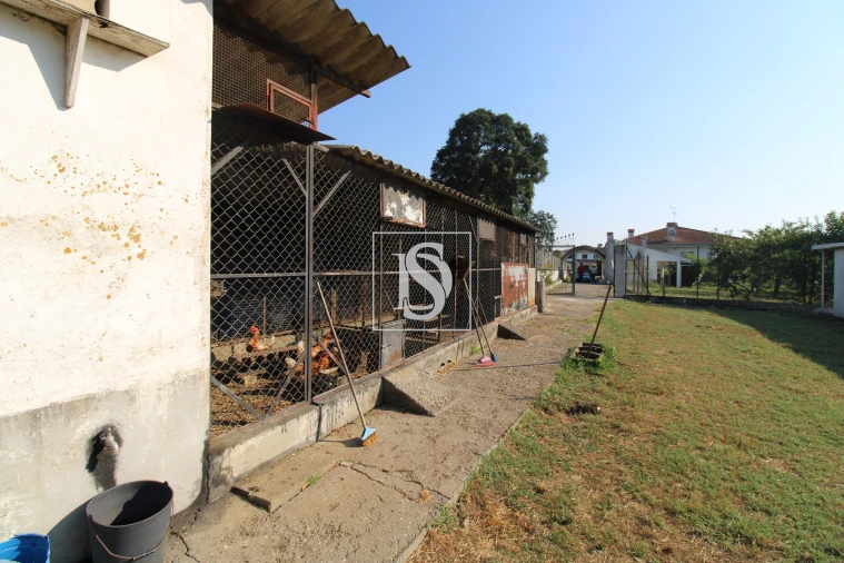 Moradia T3 para Venda em Fiães Foto 37