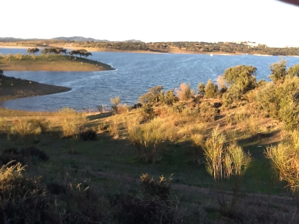 Quinta T3 para Venda em Mourão Foto 7