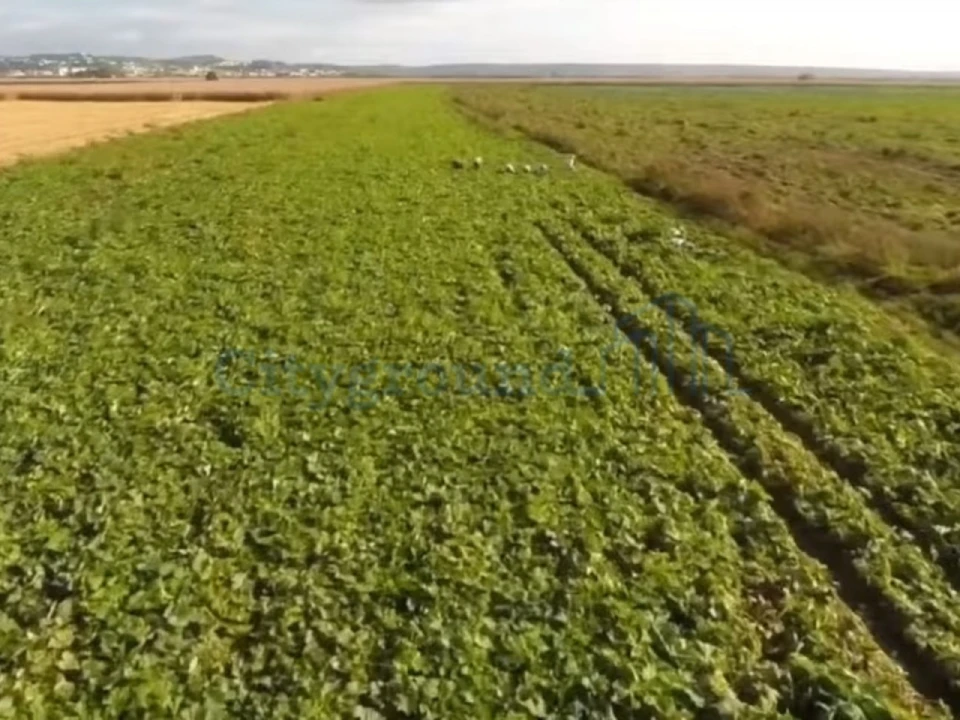 Prédio para Venda em Azinhaga Foto 20