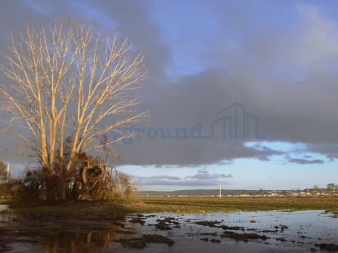 Prédio para Venda em Azinhaga Foto 18