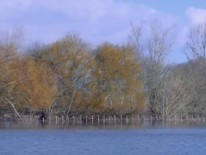 Prédio para Venda em Azinhaga Foto 19