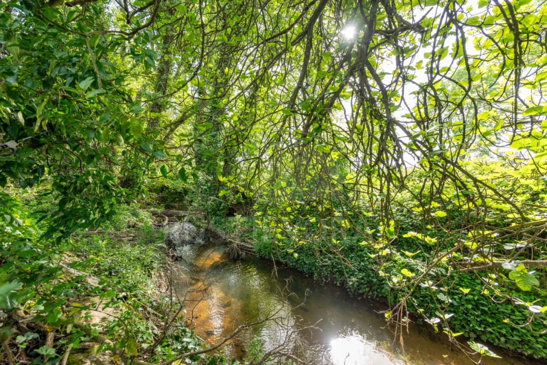 Quinta T5 para Venda em Nossa Senhora da Vila, Nossa Senhora do Bispo e Silveiras Foto 4