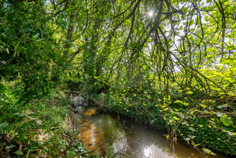 Quinta T5 para Venda em Nossa Senhora da Vila, Nossa Senhora do Bispo e Silveiras Foto 16