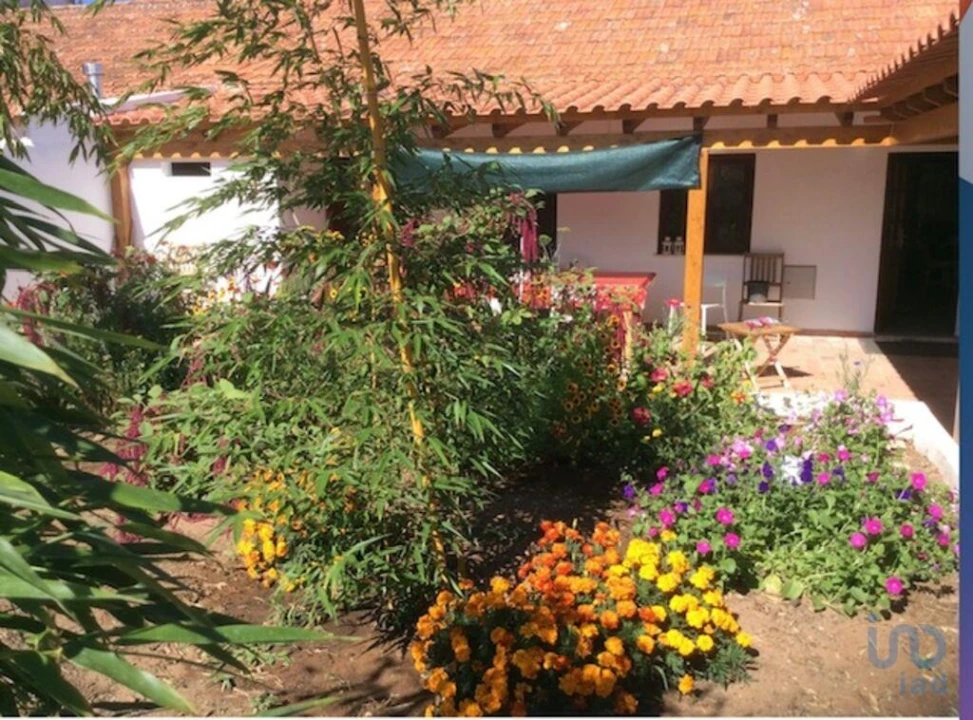 Moradia T5 para Venda em Boavista dos Pinheiros Foto 4