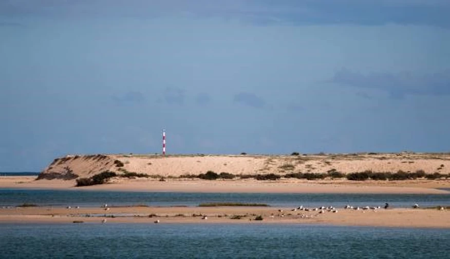 Moradia T5 para Venda em Moncarapacho e Fuseta Foto 42