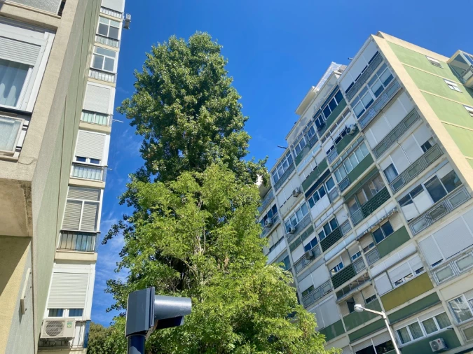 Apartamento T3 para Venda em Benfica Foto 2