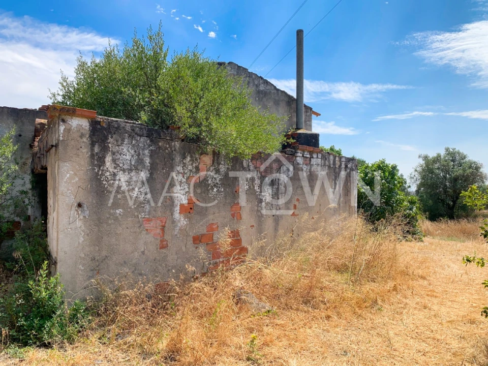 Armazém para Venda em Alcanena e Vila Moreira Foto 4