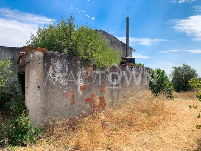 Armazém para Venda em Alcanena e Vila Moreira Foto 3