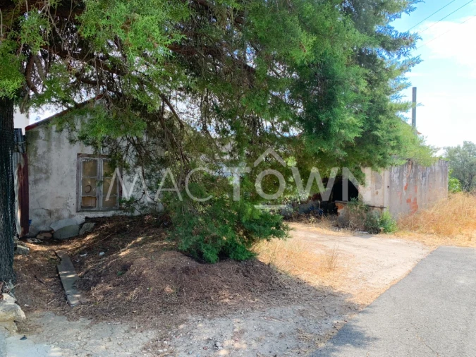 Armazém para Venda em Alcanena e Vila Moreira Foto 2