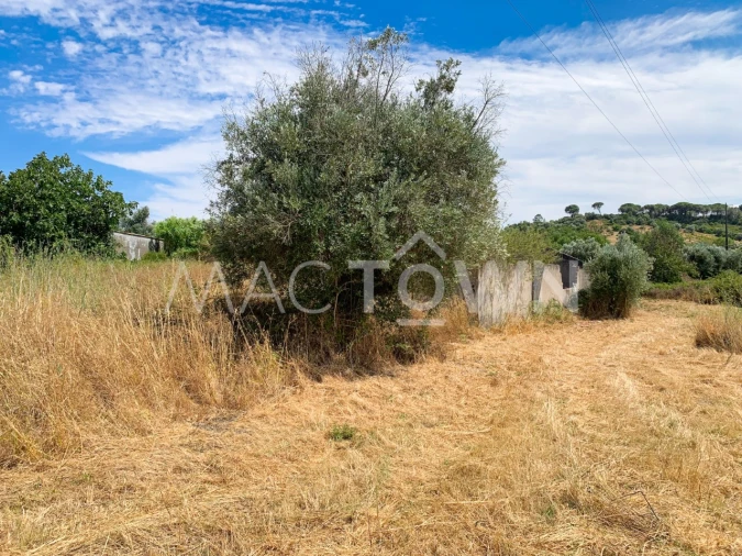 Armazém para Venda em Alcanena e Vila Moreira Foto 8