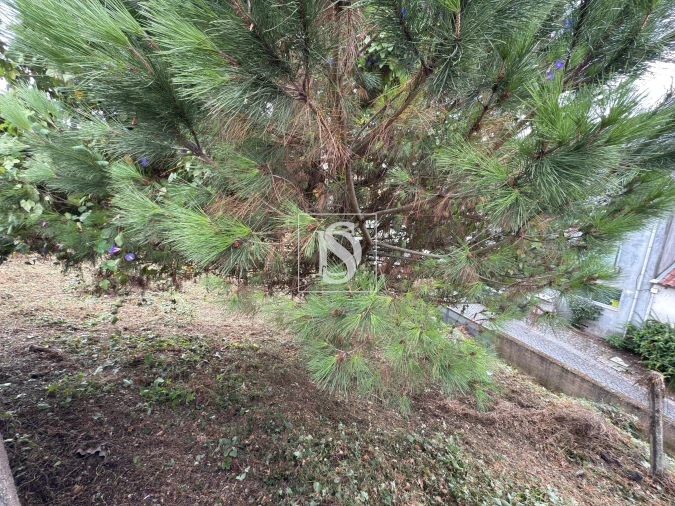 Terreno para Venda em Braga (Maximinos, Sé e Cividade) Foto 26