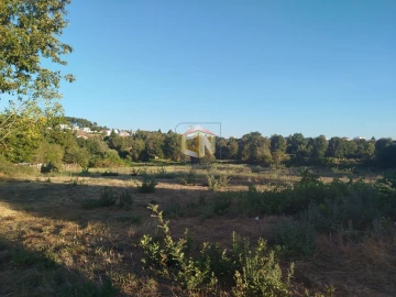Terreno para Venda em Sabugal e Aldeia de Santo António