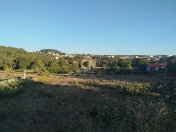 Terreno para Venda em Sabugal e Aldeia de Santo António