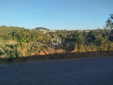 Terreno para Venda em Sabugal e Aldeia de Santo António