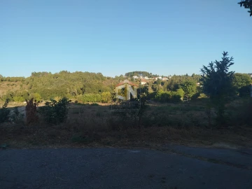 Terreno para Venda em Sabugal e Aldeia de Santo António