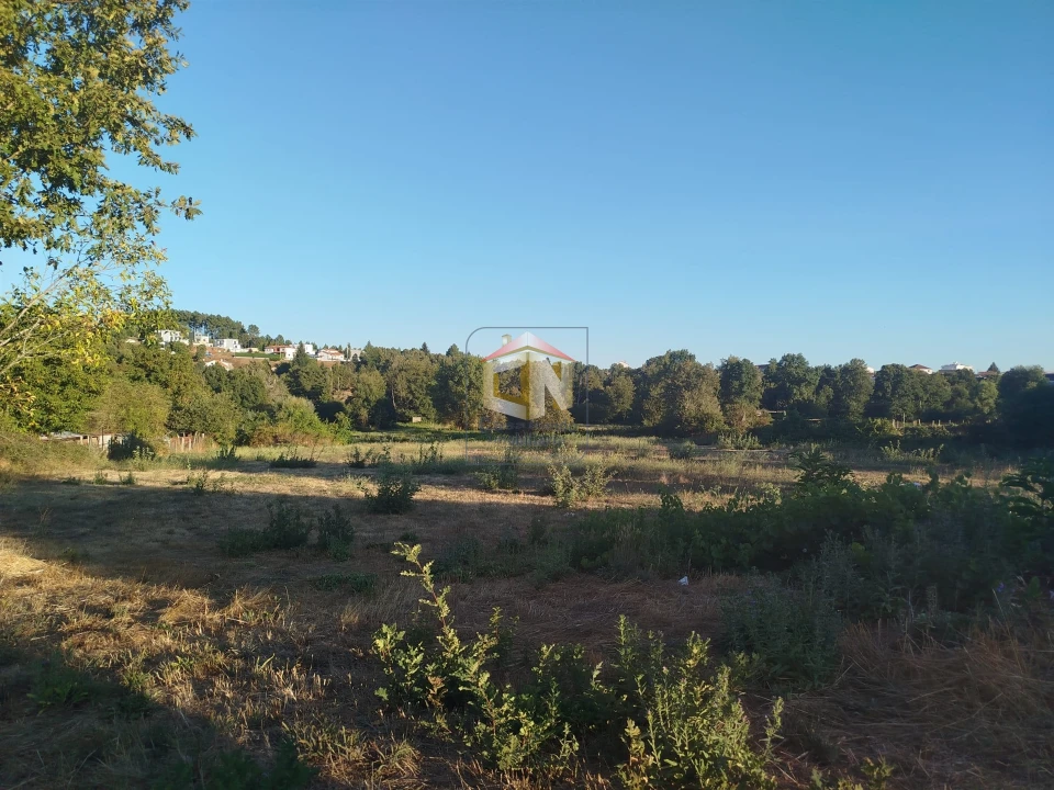 Terreno para Venda em Sabugal e Aldeia de Santo António Foto 8