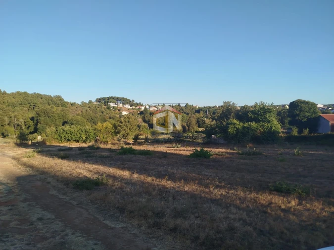Terreno para Venda em Sabugal e Aldeia de Santo António Foto 10