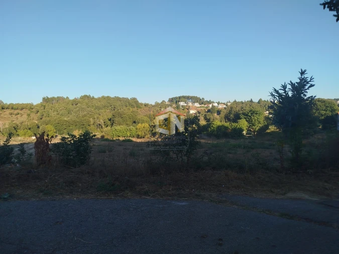 Terreno para Venda em Sabugal e Aldeia de Santo António Foto 6
