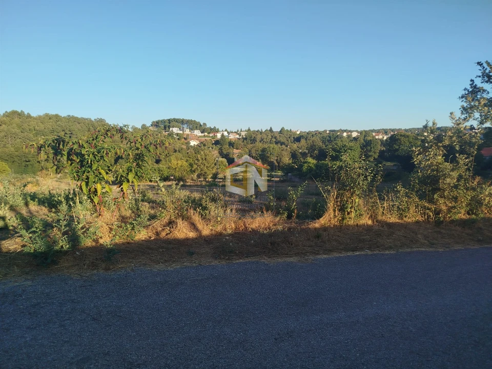 Terreno para Venda em Sabugal e Aldeia de Santo António Foto 4