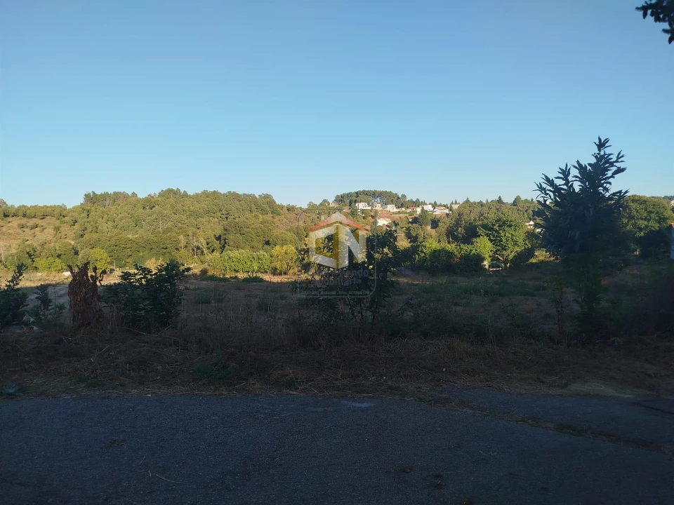 Terreno para Venda em Sabugal e Aldeia de Santo António Foto 6