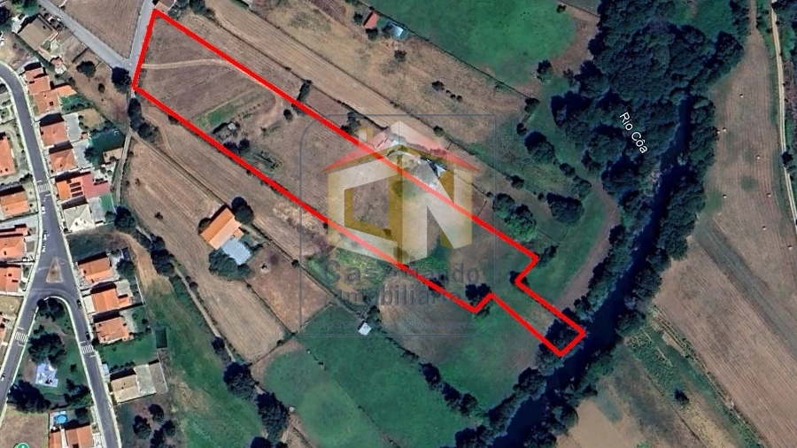 Terreno para Venda em Sabugal e Aldeia de Santo António