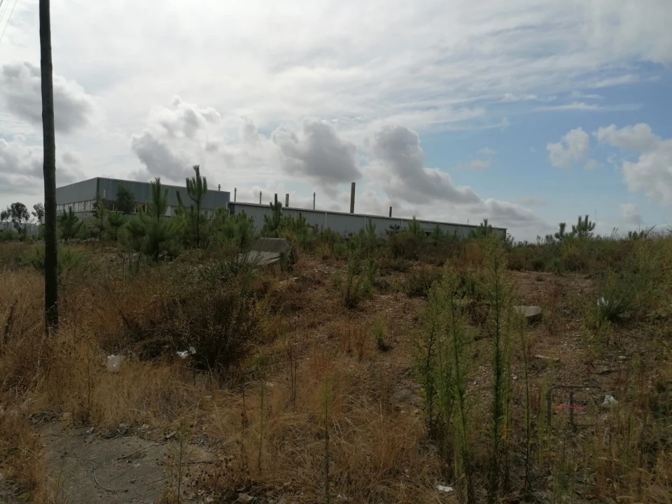 Terreno Comércio / Armazém para Venda em Fânzeres e São Pedro da Cova Foto 9